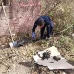 hatayda itfaiye mahsur kopek yavrularini kurtardi IxsWL49z