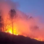 hatayda orman yangini denetim altina alindi NGGL4zCW