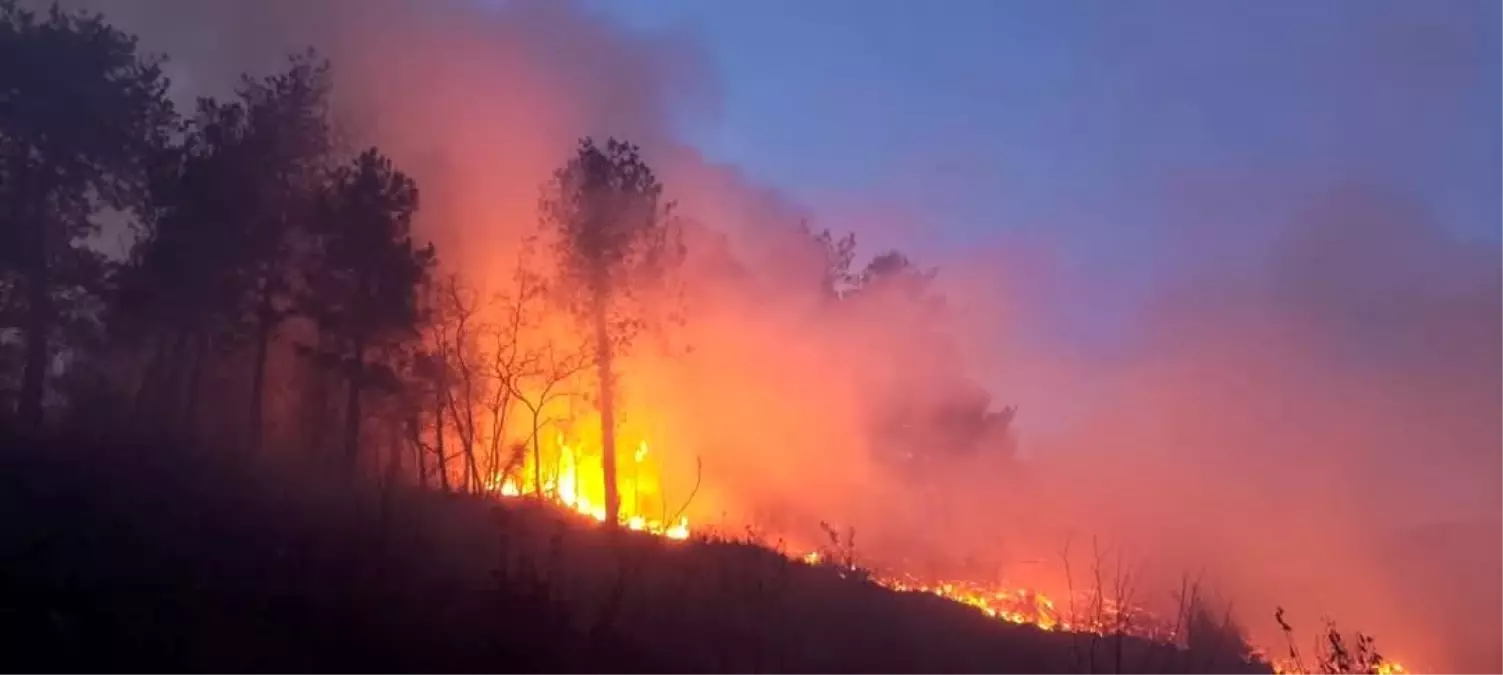 Hatay Alevlerle Dans Etti: Orman Yangınına Dur Dendi! 71 hatayda orman yangini denetim altina alindi NGGL4zCW