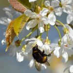 hidirellez ne vakit 2025 hidirellez takvimi vcr4fDp4