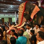 hindistanda eziyet bitiyor robot fillerle ayin yapilacak lD6ZaPDM