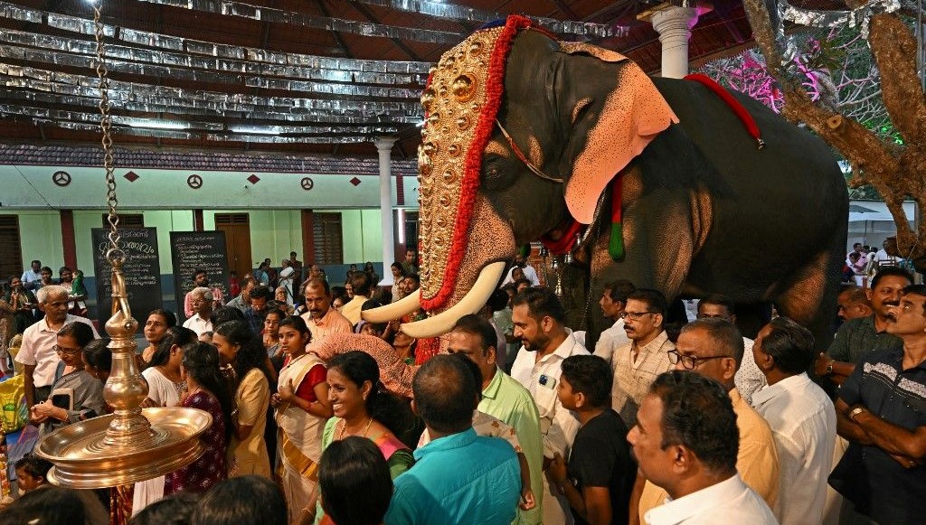 Hindistan'da Zulüm Sona Eriyor: Robot Filler Ritüelleri Dönüştürüyor! 69 hindistanda eziyet bitiyor robot fillerle ayin yapilacak lD6ZaPDM