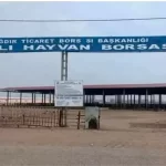 igdir hayvan pazari 10 martta aciliyor SgKiaDeA