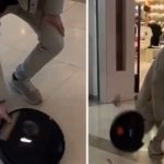 iki yil icinde 10 defa arizalanan supurgesini magaza onunde parcaladi 3GqlZNOk