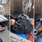 ilceyi ayaga kaldiran goruntu belediye baskani ozur dilemek zorunda kaldi 5elehgsI