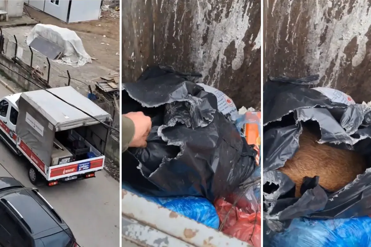 ilceyi ayaga kaldiran goruntu belediye baskani ozur dilemek zorunda kaldi 5elehgsI