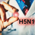 ingilterede kus gribi alarmi bir koyunda h5n1 dogrulandi MihZVVQj