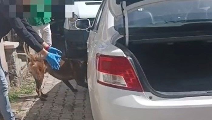 İran’dan Uyuşturucu Akışı Durduruldu: Polis Operasyonu Başarıyla Sonuçlandı 71 irandan uyusturucu sevkiyati polise takildi yzzhVsEf