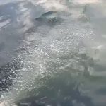 iskiye 26 milyon liralik ceza v9k9fpgI