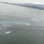 izmir korfezini kirleten firmaya 83 milyon lira ceza ALkXfWIn