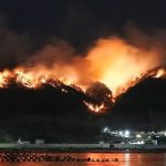 japonyada orman yangini 16 bin konut elektriksiz kaldi 2BOPvuNc