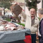 kacak avlanan 200 kalkan baligi vatandaslara dagitildi 1OTuefm5