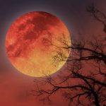 kanli ay tutulmasinin etkileyecegi 3 burc unlu astrolog acikladi Kf6j4ZGj