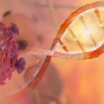 kanser icin yerli tedavi calismasi TBclLDjE