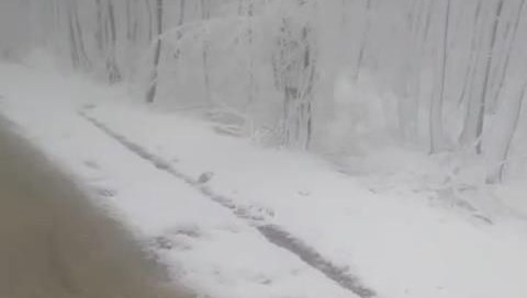 kar istanbula geri dondugece tesirini artiracak