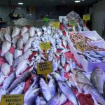 karadeniz bu donem comert yuzunu gosterdi 7 donemde 1 gelen bolluk thDKKhC8