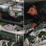 karpuzlarin ortasindan gocmenler cikti sbPdAZaJ