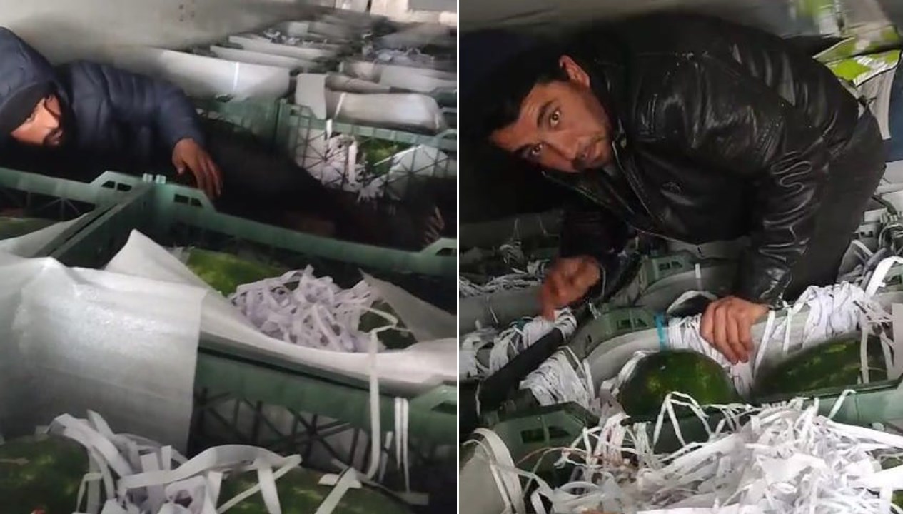 karpuzlarin ortasindan gocmenler cikti sbPdAZaJ