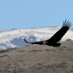 karsta hava isindi yaban hayati canlandi de5CedEn