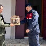 keklik avina binlerce lira ceza pEk3T3HF