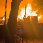 kocaelide bungalov alev alev yandi q8fVxmPv