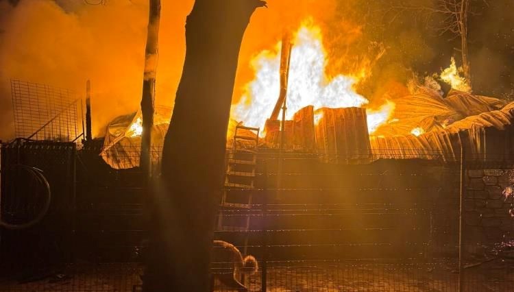 kocaelide bungalov alev alev yandi