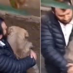 kopegini kurtarmak icin dereye girdi ikisi de mahsur kaldi k3HlDWKM