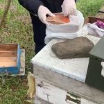 kovandan kacak silah cikti iki kuskulu gozaltinda ABtWLeAJ