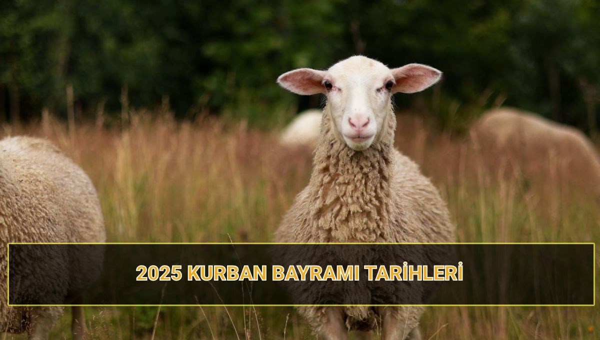 kurban bayrami tarihleri 2025 bu yil kurban bayrami tatili kac gun OWIN7RZn
