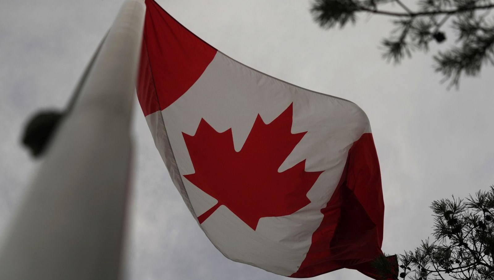 kutuphanedeki bayanin basortusunu yakmaya calisti kanadali saldirgan gozaltinda MPSIk4GW