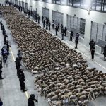 maduro nazi kamplarina gonderilen tum vatandaslarimizi geri getirecegiz MLAxvb5J