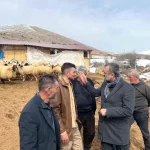 malatyada hayvan yetistiricilerine dayanak kredisi Hwux7HiS