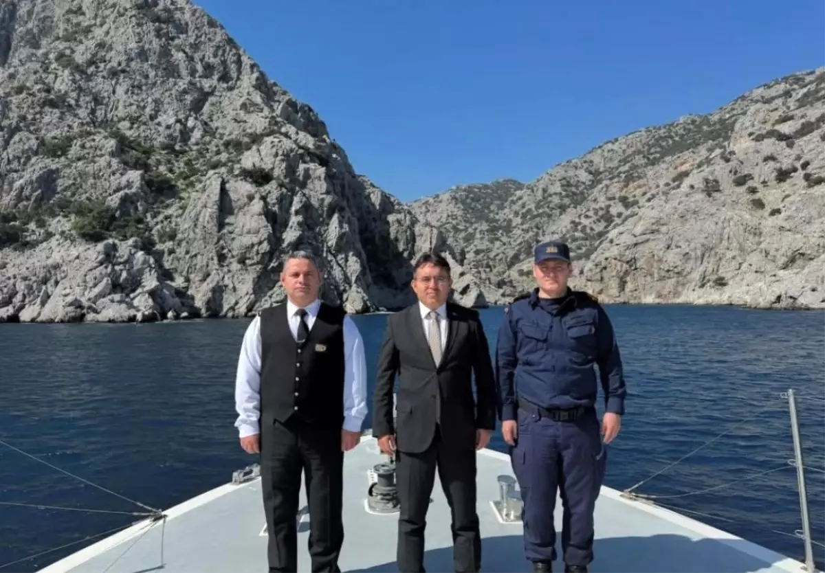 marmariste sistemsiz goc kontrolu lczpfigT