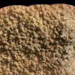 marsta garip kesif orumcek yumurtalari bulundu UMPsvGxO