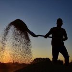 mart ayi mazot ve gubre takviyesi odemeleri 2025 mazot ve gubre dayanagi ne vakit HvbdWiXU