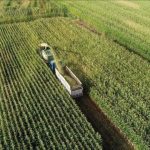 mart ayi mazot ve gubre takviyesi odemeleri 2025 mazot ve gubre takviyesi yatti mi 7Mb41Byc