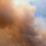 meksikada trafik faciasi 12 kisi oldu alev alan arac orman yangini cikardi jU47FhEB