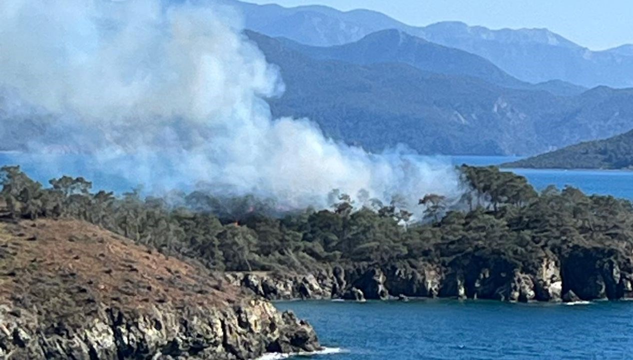 Muğla Alevlere Teslim Olmadı: Orman Yangını Kontrol Altında 71 muglada ormanlik alanda cikan yangin sonduruldu mYNkctAU