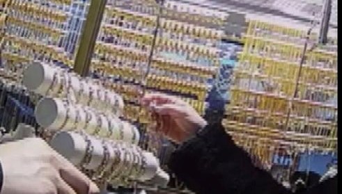 Müşteri üzere girdi, 100 bin liralık bilekliği çaldı 71 musteri uzere girdi 100 bin liralik bilekligi caldi 2bgiXTnp