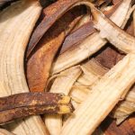 muz kabugunun cilt sihhatine tesiri viral formul hakikaten ise yariyor mu FUxmaACs