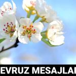 nevruz bayrami iletileri 2025 nevruz sevgiyle yeseren umutlarin bayramidir tJa6lDel