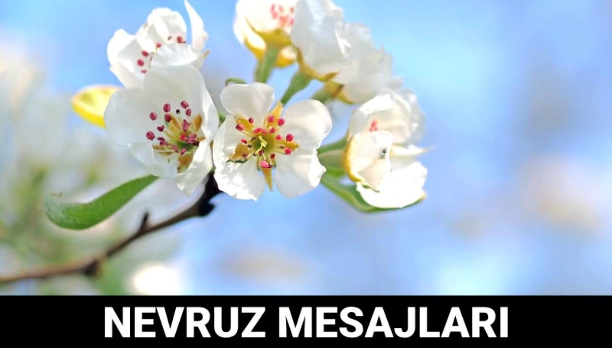 Nevruz 2025: Sevgiyle Yeşeren Umutlar Bayramı 71 nevruz bayrami iletileri 2025 nevruz sevgiyle yeseren umutlarin bayramidir tJa6lDel