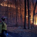 new york ormanlarinda yangin alarmi acil durum ilan edildi qjSmM4JV