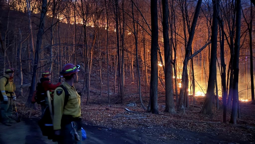 New York'un Yabanında Alevler: Acil Durum Alarmı! 71 new york ormanlarinda yangin alarmi acil durum ilan edildi qjSmM4JV