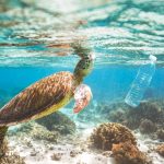 okyanuslar icin 2030 iddiasi 602 bin ton atik Om7uwzkw