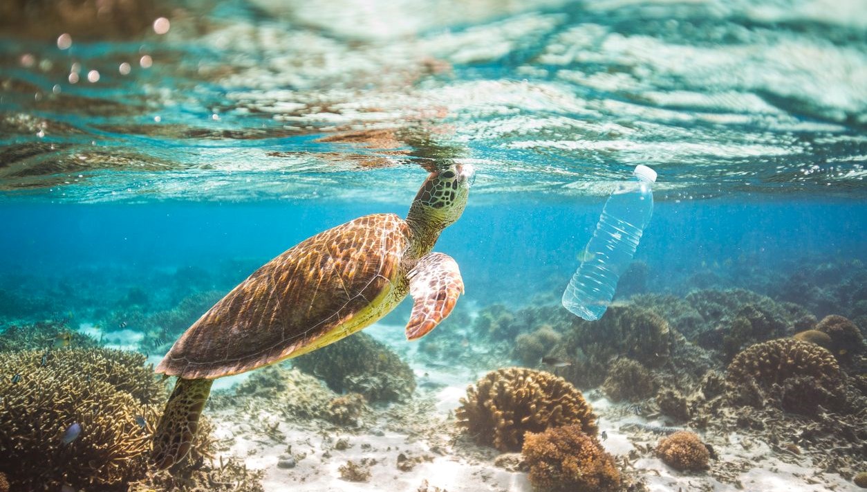 okyanuslar icin 2030 iddiasi 602 bin ton atik Om7uwzkw