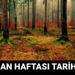 orman haftasi ne vakit orman haftasi mesajlari ve sozleri w9SPXZwR