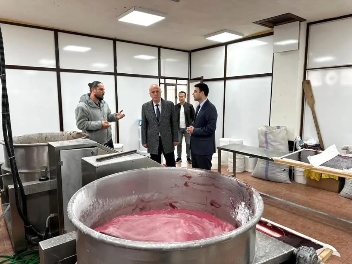 Osmaneli, Üretimde Altın Çağını Yaşıyor 71 osmanelinin uretim kapasitesi 6 kat artiyor zHSRTaXn