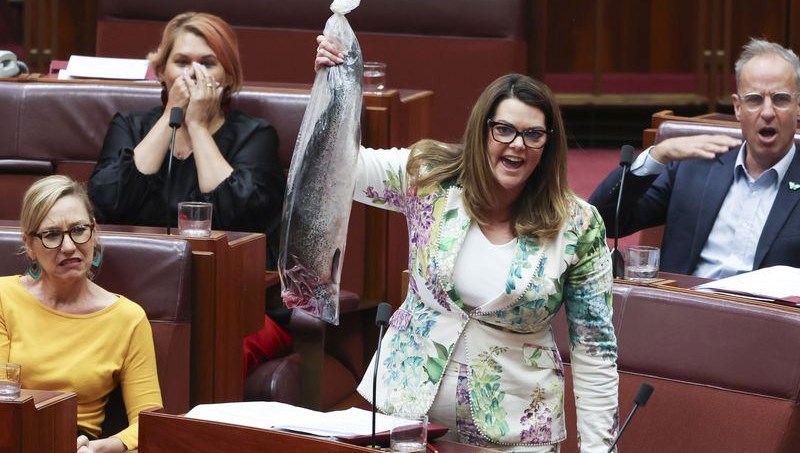 parlamentoda curuk balikli protesto senatorler kokuya dayanamadi cQvq9EUb