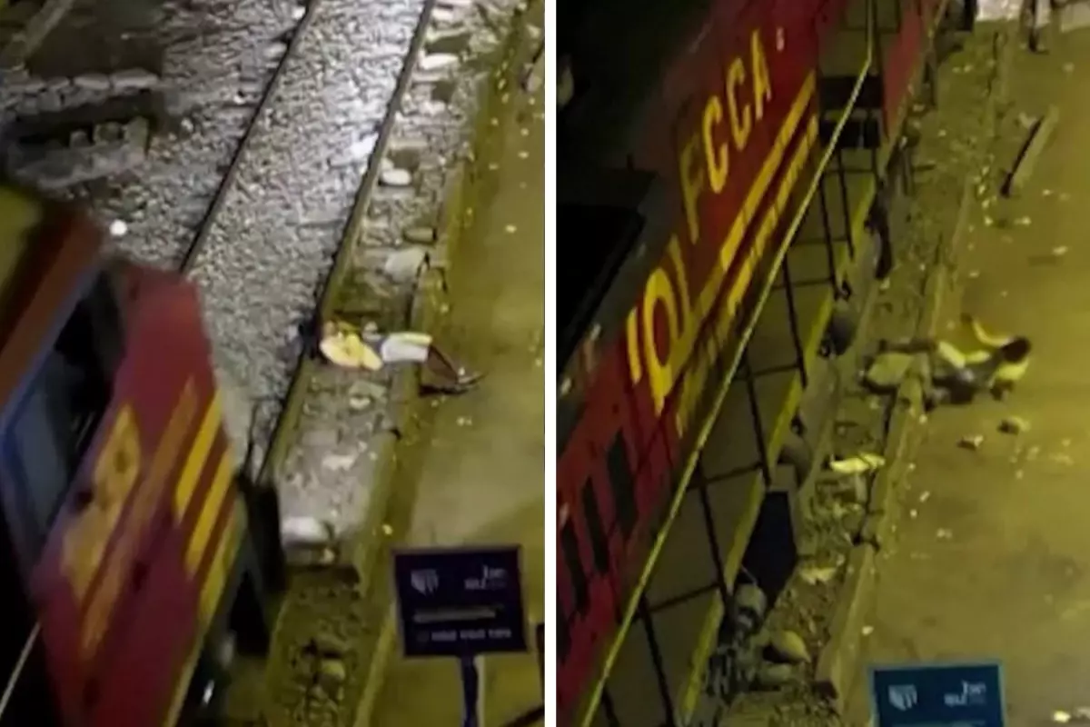 peruda tren raylarinda uyuyakalan adam vagonlarin altindan sag cikti k2g9kC8M